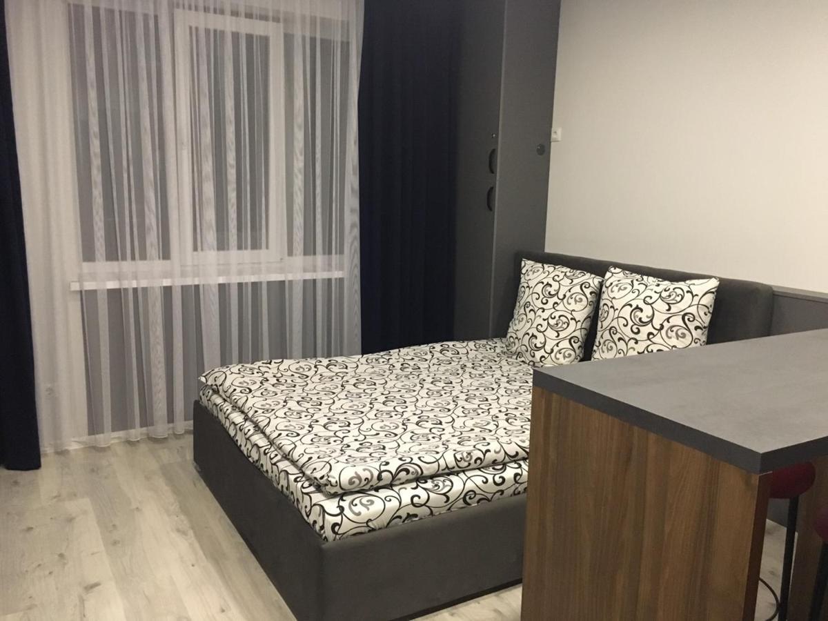 Centre In Uzhgorod Apartment Luaran gambar