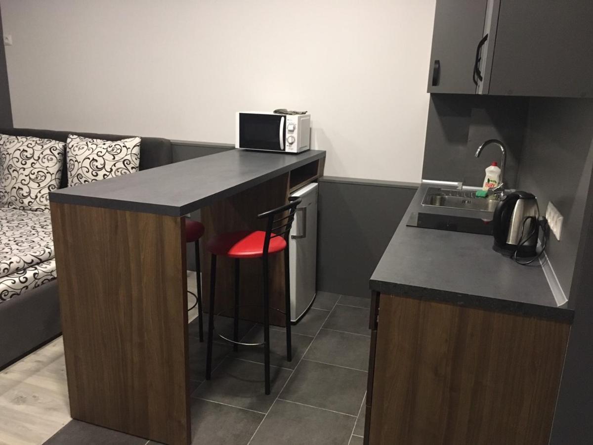 Centre In Uzhgorod Apartment Luaran gambar